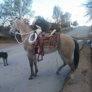 Meet your Posher, Manuel